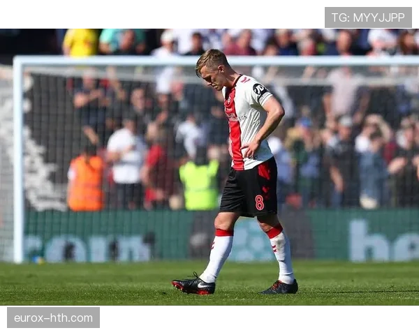 谢联普林斯强势回归，球队状态回暖冲击英超佳绩